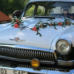 Елена Голубенко, 08.09, Санкт-Петербург