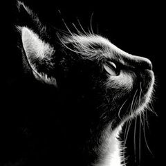 Таня Гордына, 05.02.1983, Киев