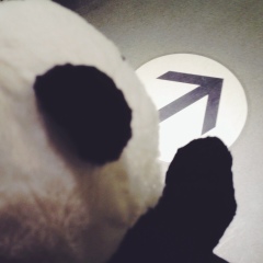 Елена Крамарова, 12.08