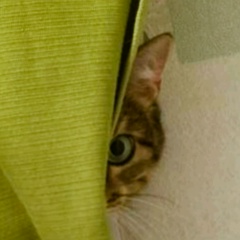 Света Ремезова, 18.07