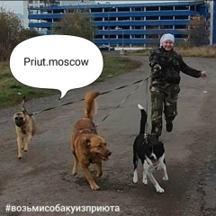 Анастасия Билялова, 11.10.1990, Москва