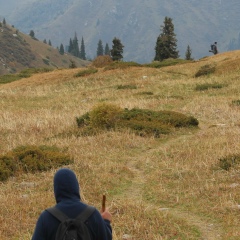 Евгений Полищук, 24.11
