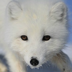 Андрей Васин, 10.08.1986, Москва