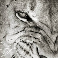 Елена Маясова, 21.06