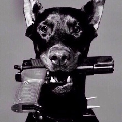 Александр Кареньгин, 23.01.1987