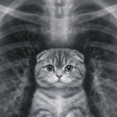 София С, 18.08