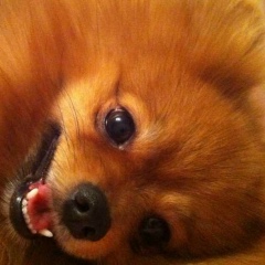 Наталья Фурсова, 13.12.1988, Санкт-Петербург