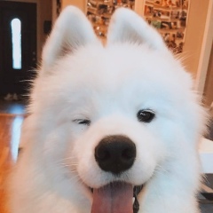 Татьяна Любимова, 16.05, Москва