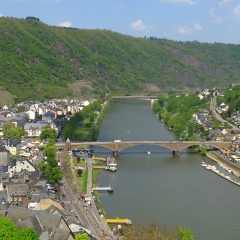 Николай Шамов, Санкт-Петербург