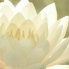 Заира Адиева, 01.08, Санкт-Петербург