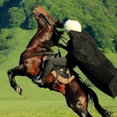 Владимир Чихтисов, 20.09.1987, Владикавказ