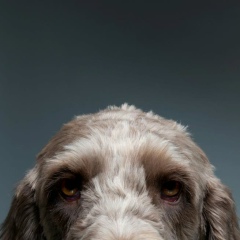 Настя Собакина, 18.08.1997, Новосибирск