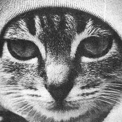 Иван Дзёма, 30.09.1987