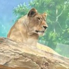 Михаил Швецов, 25.10.1989, Отрадный