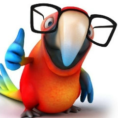 Иван Яковлев, 16.02, Чебоксары