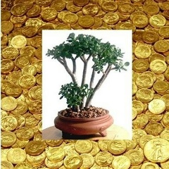 Кенен Абдыкадыров, 22.01.1985, Лесновка