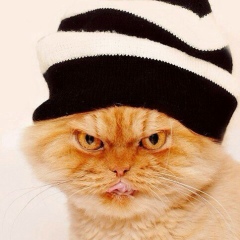 Равиль Гаджиев, 12.08.1990, Алматы