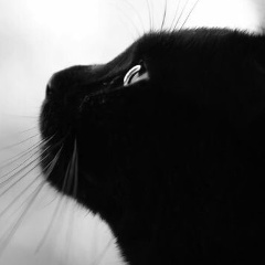 Светлана Сурикова, 30.01, Москва