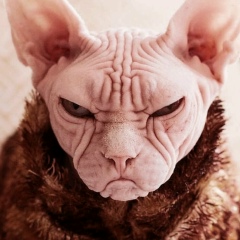 Николай W, 20.12.1982, Алматы