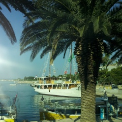 Лена Гречуха, 09.06.1989, Киев