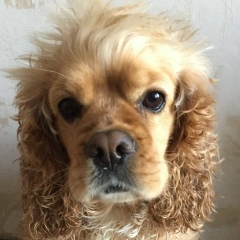 Олеся Викторовна, 28.02