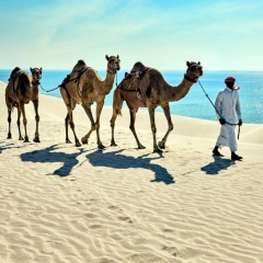 Kaddafi Muhammad, Kuwait