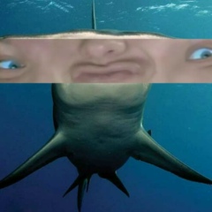 Maxim Loev, 27.12, Одесса