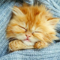 Марина Умницына, 21.09, Санкт-Петербург