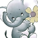 Светик Алиева, 06.07.1987, Denver