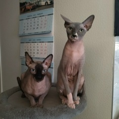 Марина Стихарева, 30.03, Москва