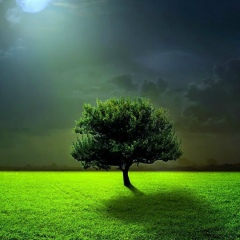 By Shom, Москва