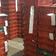 Ельдар Джахонов, 16.02.1990