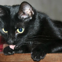 Наталия Румянцева, 01.03, Санкт-Петербург