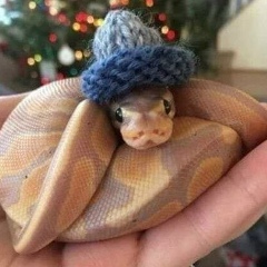 Юлия Ситникова, 26.04, Красноярск