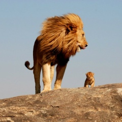 Денис Тян, 23.08, Ростов-на-Дону