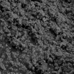 Олег Олегович, 10.01.1986, Санкт-Петербург