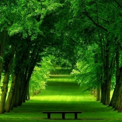 Жаннат Сатыбалдина, 10.11, Атырау