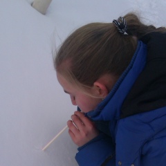 Александра Луганская, 01.04, Луганск (село)