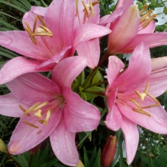 Екатерина Дмитрук, 26.09, Москва