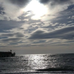 Светлана Желтухина