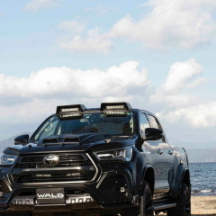 Алексей Кривега, Санкт-Петербург