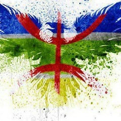 Muhammed Areebi, 10.08.1985, Tripoli