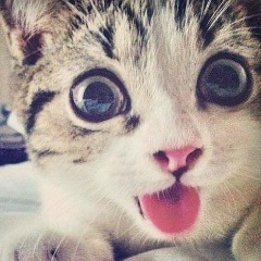 Александр Ефремов, 18.06.1982, Киев