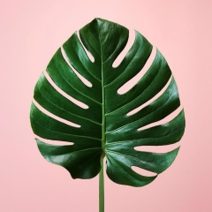 Таня Ким, Кокшетау