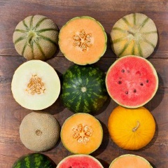 Татьяна Андреева, 03.08.1978, Санкт-Петербург