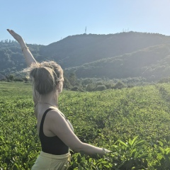 Svet Lana, 31.07