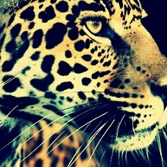 Алинка Гедуева, 27.01.1992