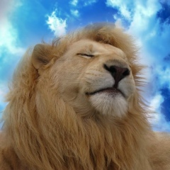 Айрат Ягафаров, 24.07, Москва