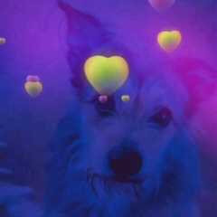 Максим Назаров, 03.06.1993, Москва