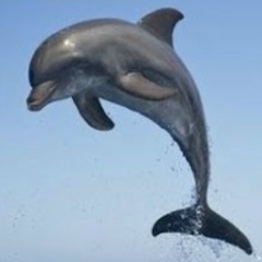 Батырбек Назарбеков, 22.04.1972, Астана